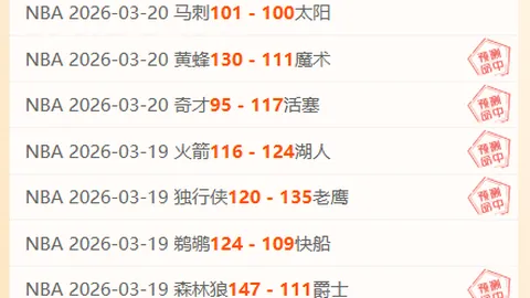 欧洲冠军赛门将普罗维德尔实现零距离进球，谱写历史新篇章